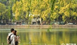 浙江拍在线观看